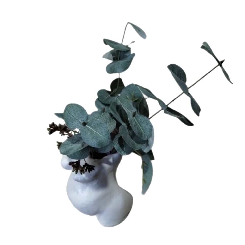 Suc(cute)lent Bros Figural Female Nude Torso Pregnancy Planter Made in Canada